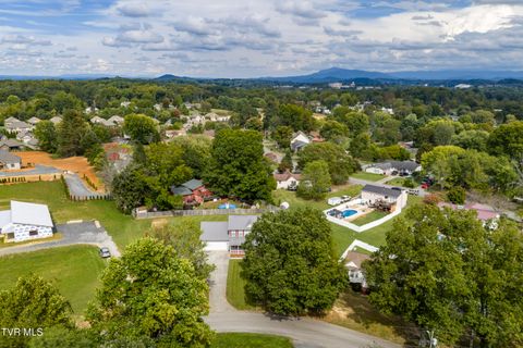 Tiny photo for 3424 Street Drive, Johnson City, TN 37604 (MLS # 9986322)