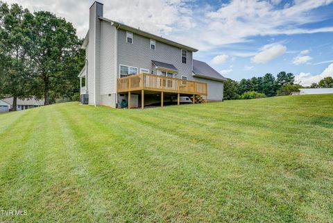 Tiny photo for 3424 Street Drive, Johnson City, TN 37604 (MLS # 9986322)