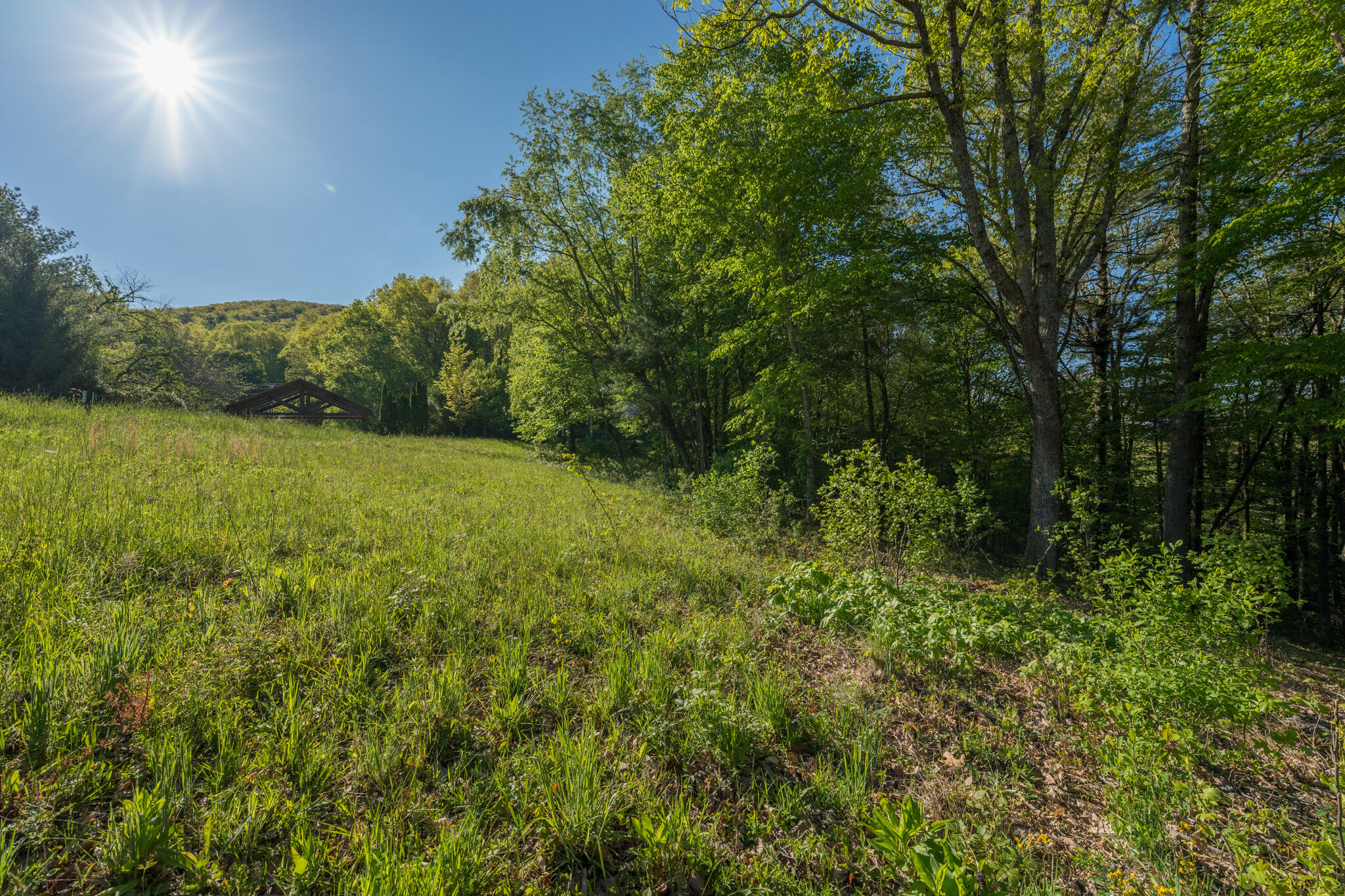 Lot 1 Of Dry Hill Road, Butler, Tennessee image 32