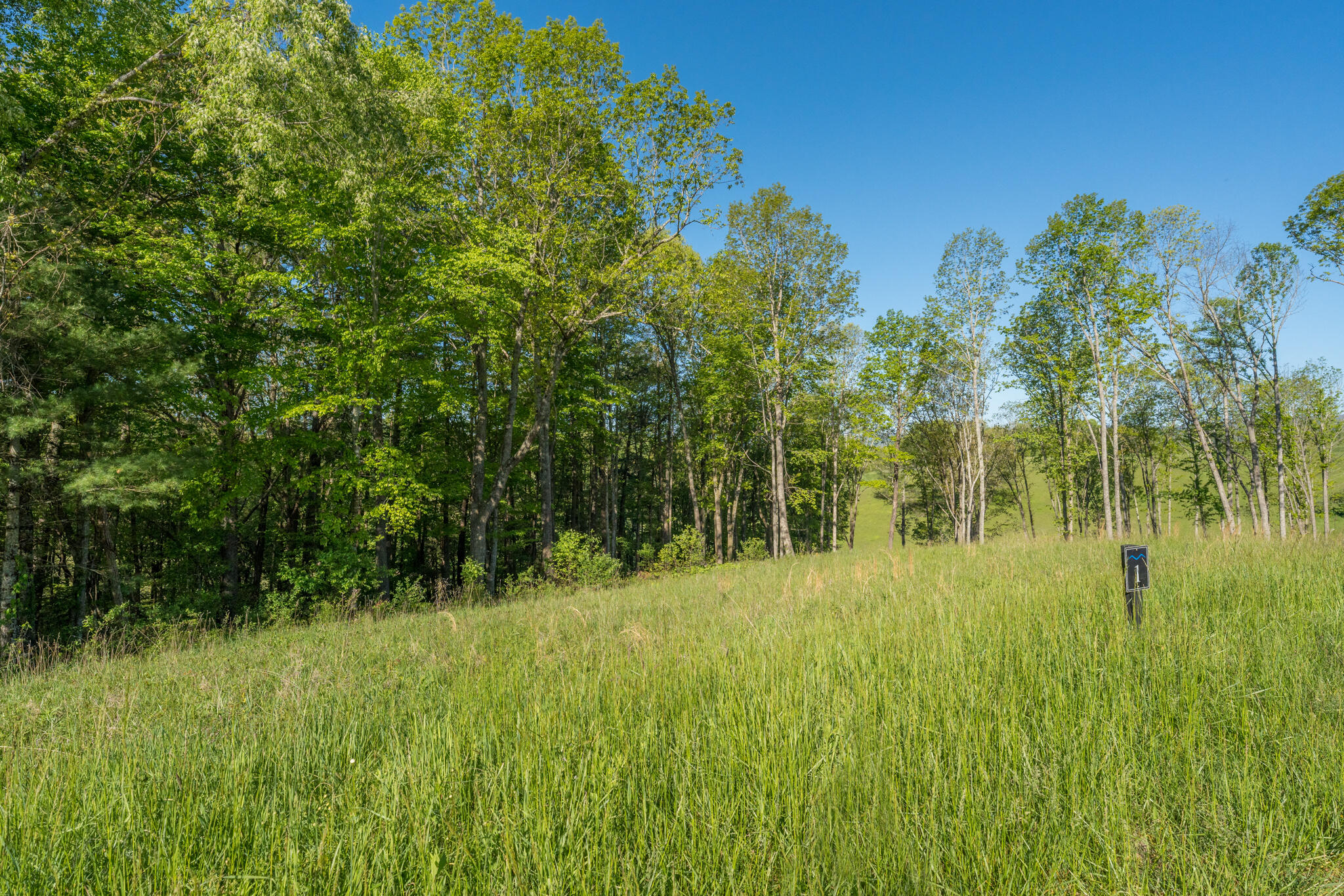 Lot 1 Of Dry Hill Road, Butler, Tennessee image 24