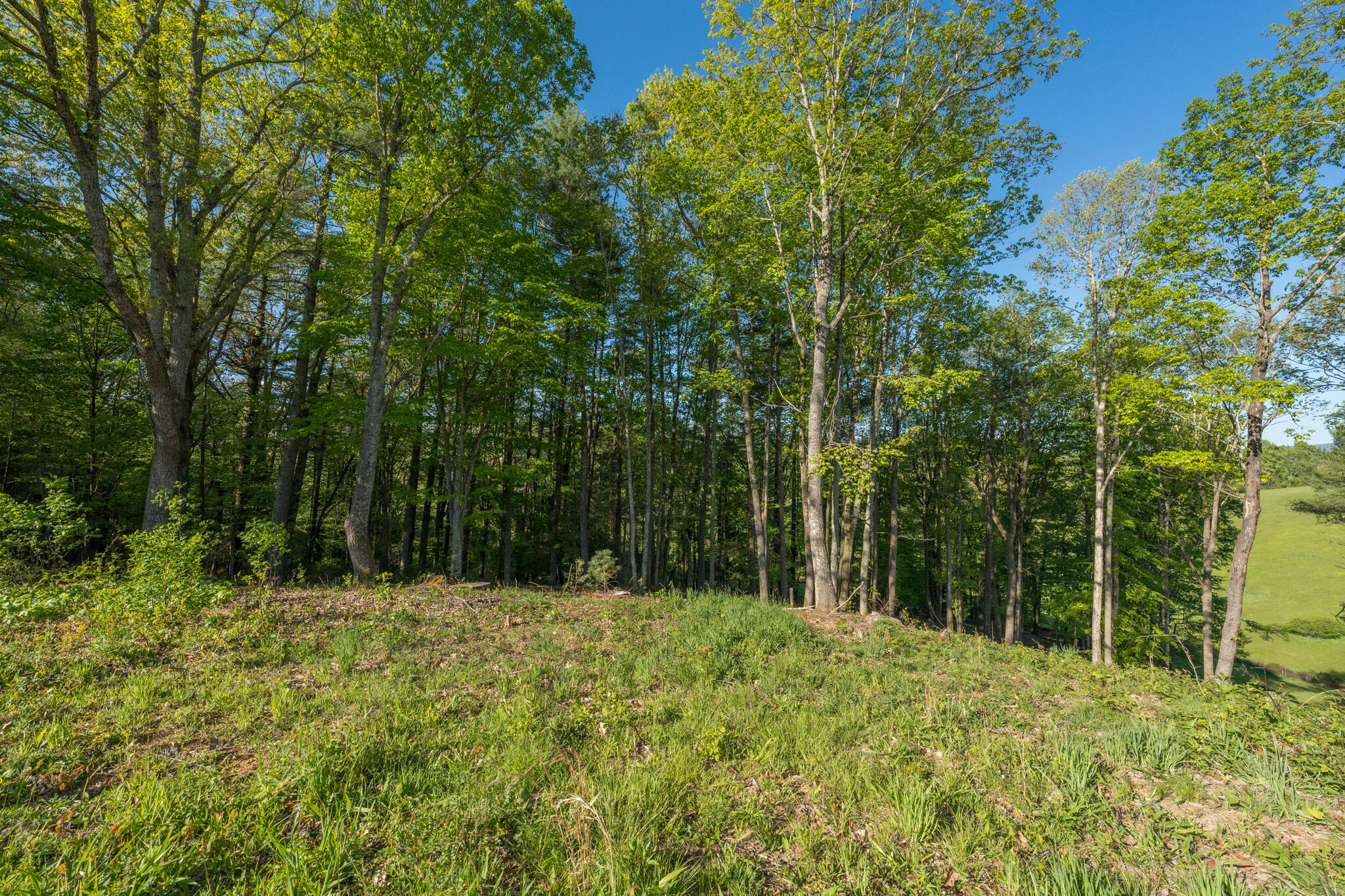 Lot 1 Of Dry Hill Road, Butler, Tennessee image 31