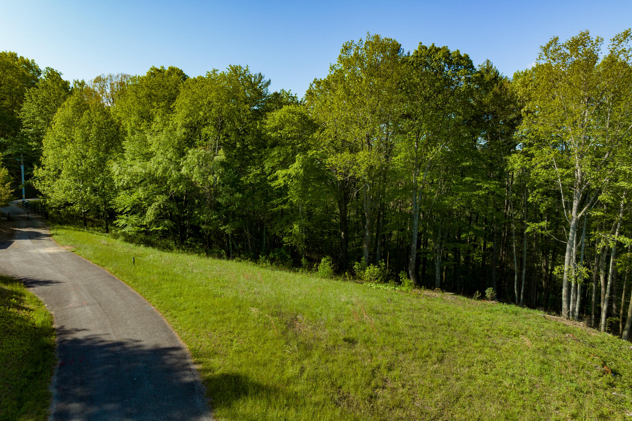 Lot 1 Of Dry Hill Road, Butler, Tennessee image 14