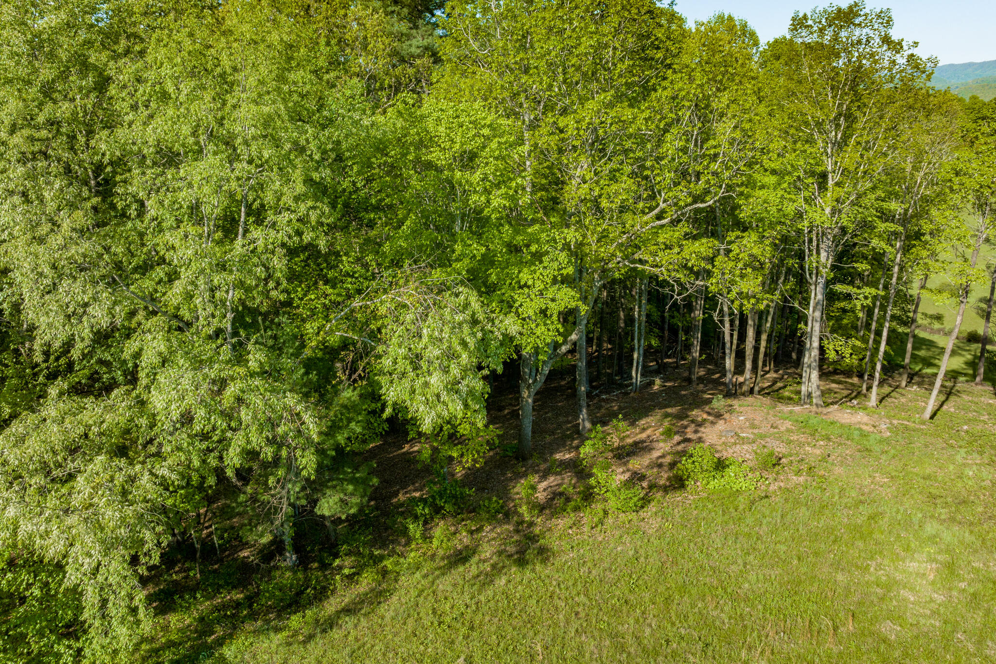 Lot 1 Of Dry Hill Road, Butler, Tennessee image 18