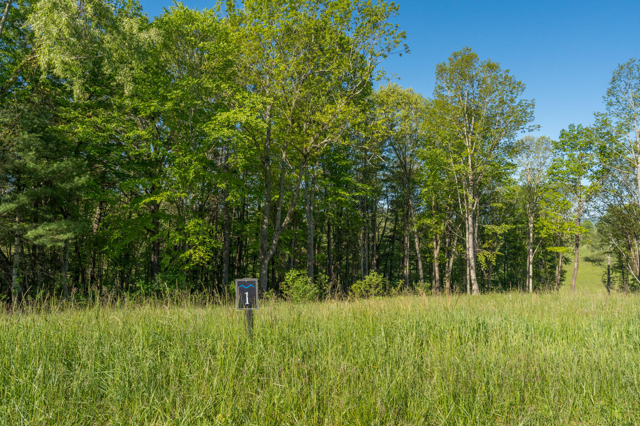 Lot 1 Of Dry Hill Road, Butler, Tennessee image 25