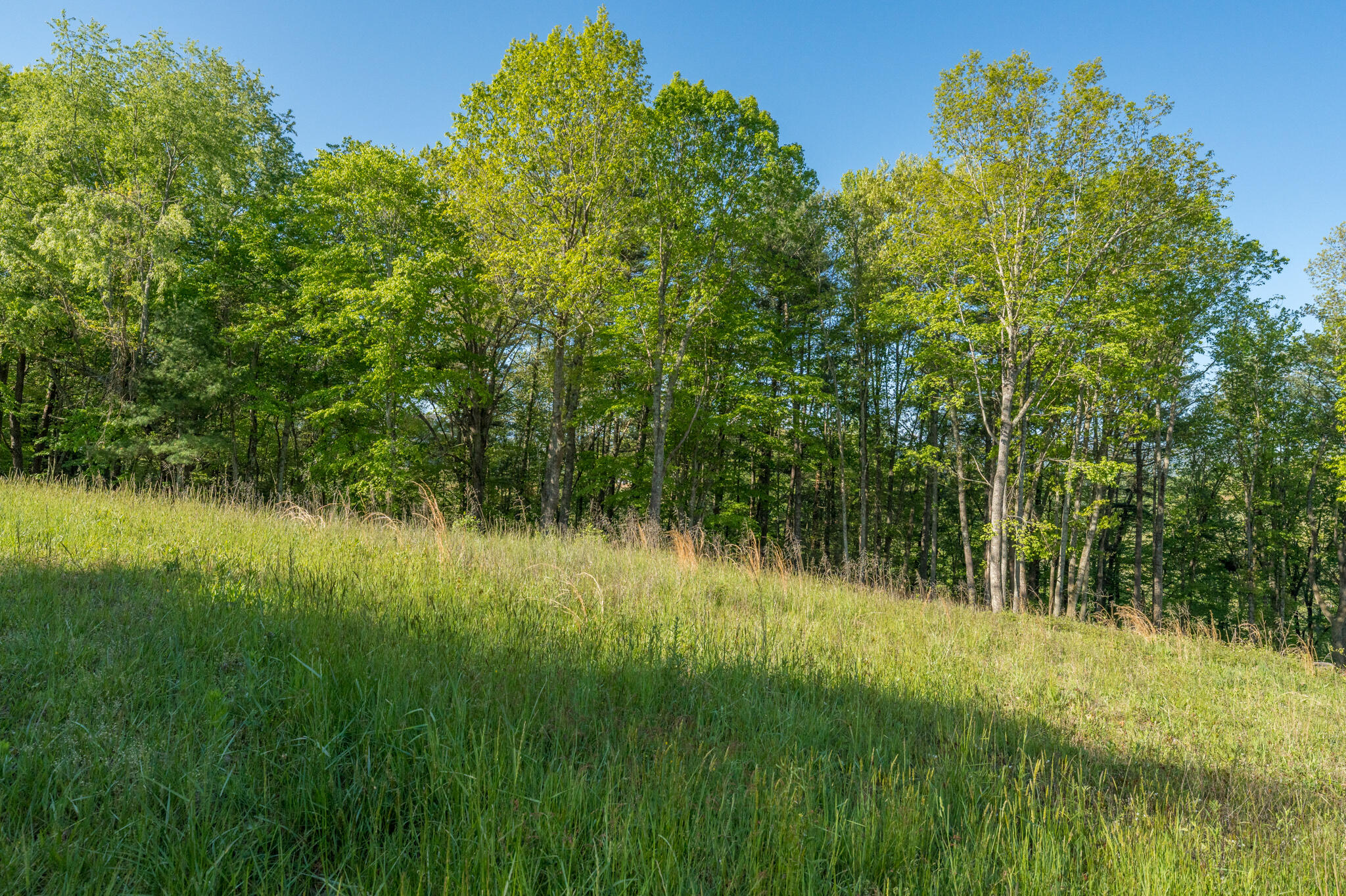 Lot 1 Of Dry Hill Road, Butler, Tennessee image 26