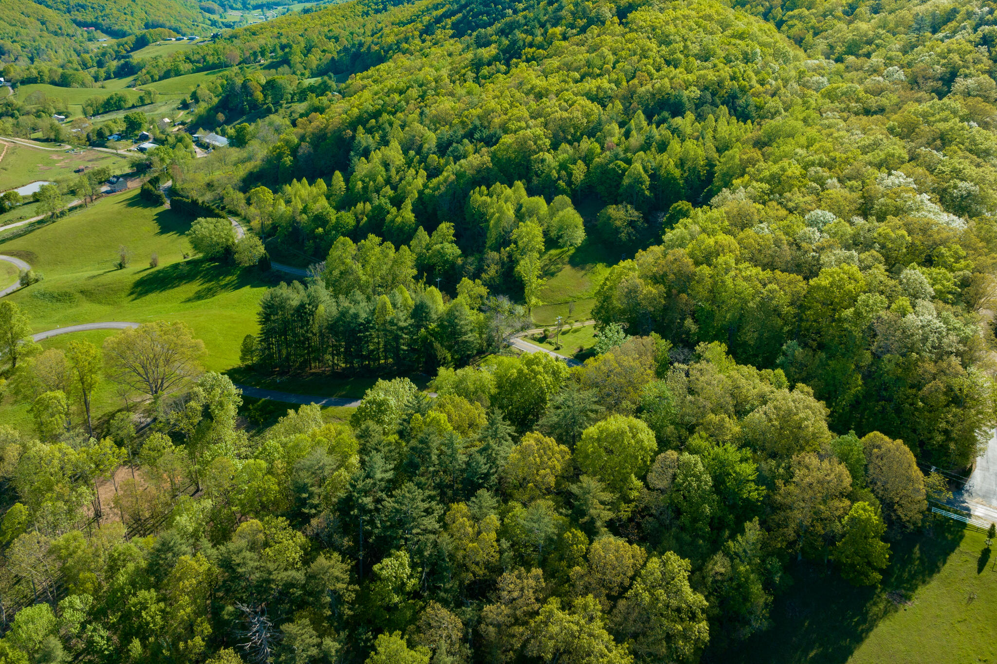 Lot 1 Of Dry Hill Road, Butler, Tennessee image 10