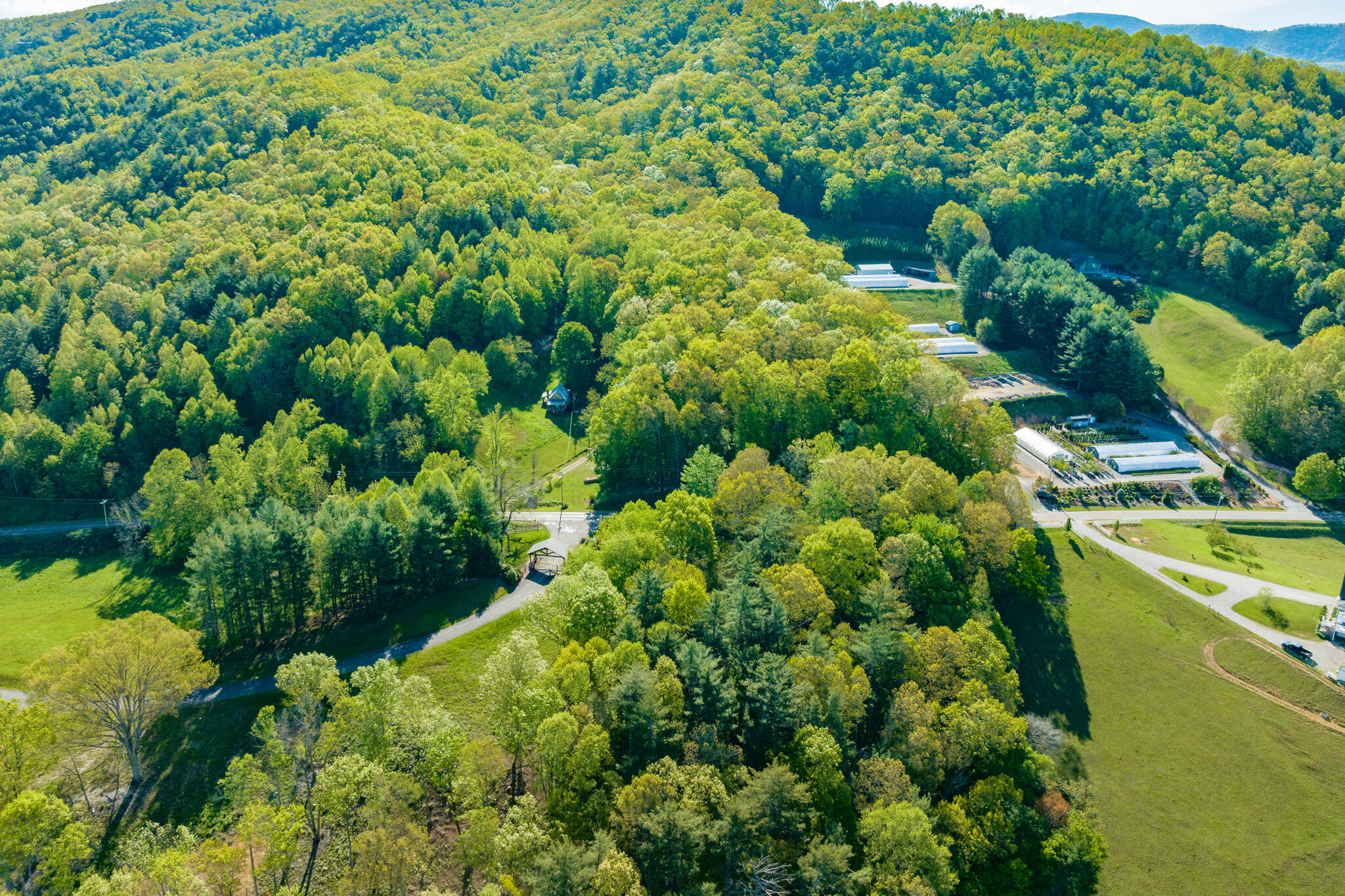 Lot 1 Of Dry Hill Road, Butler, Tennessee image 4