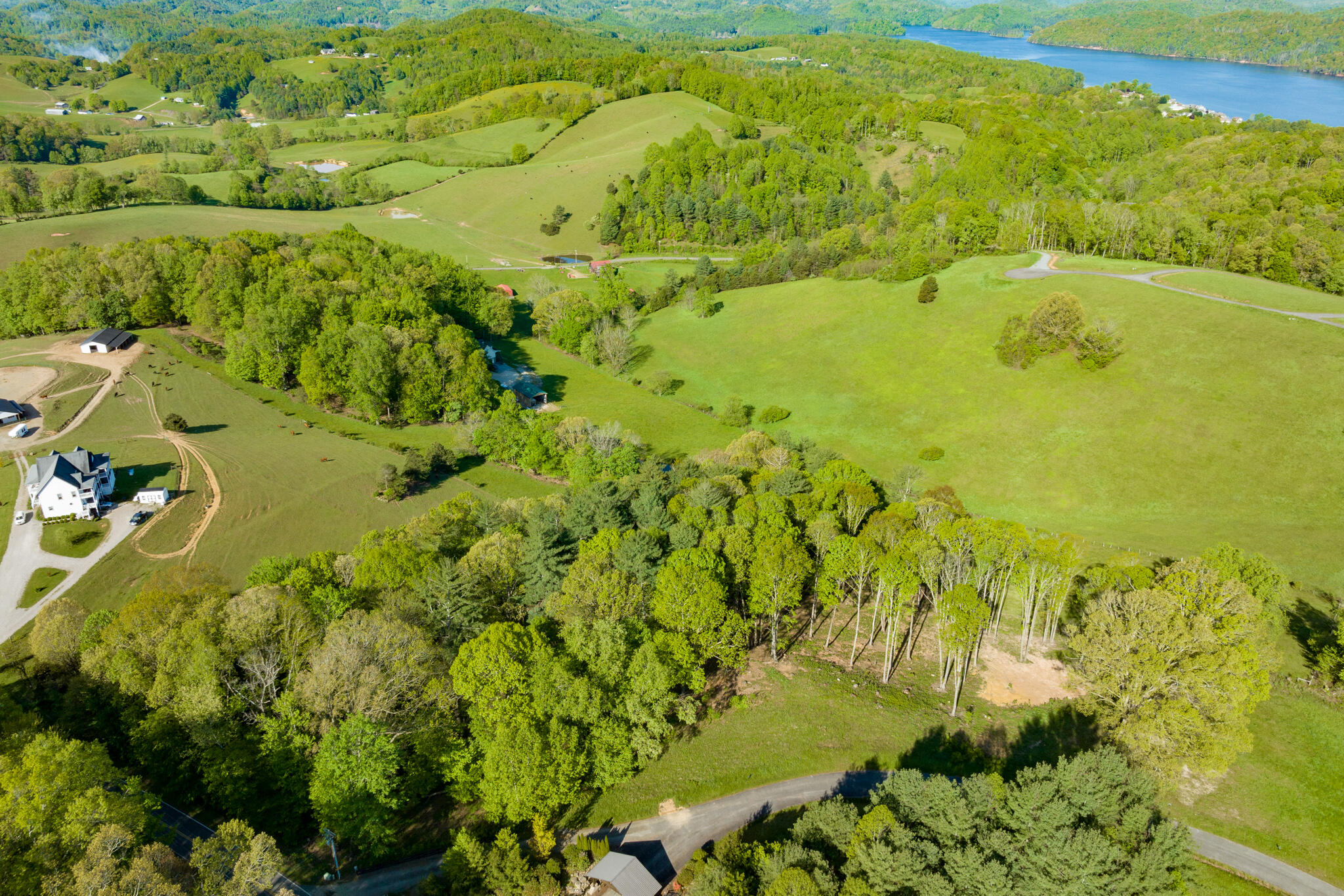 Lot 1 Of Dry Hill Road, Butler, Tennessee image 13