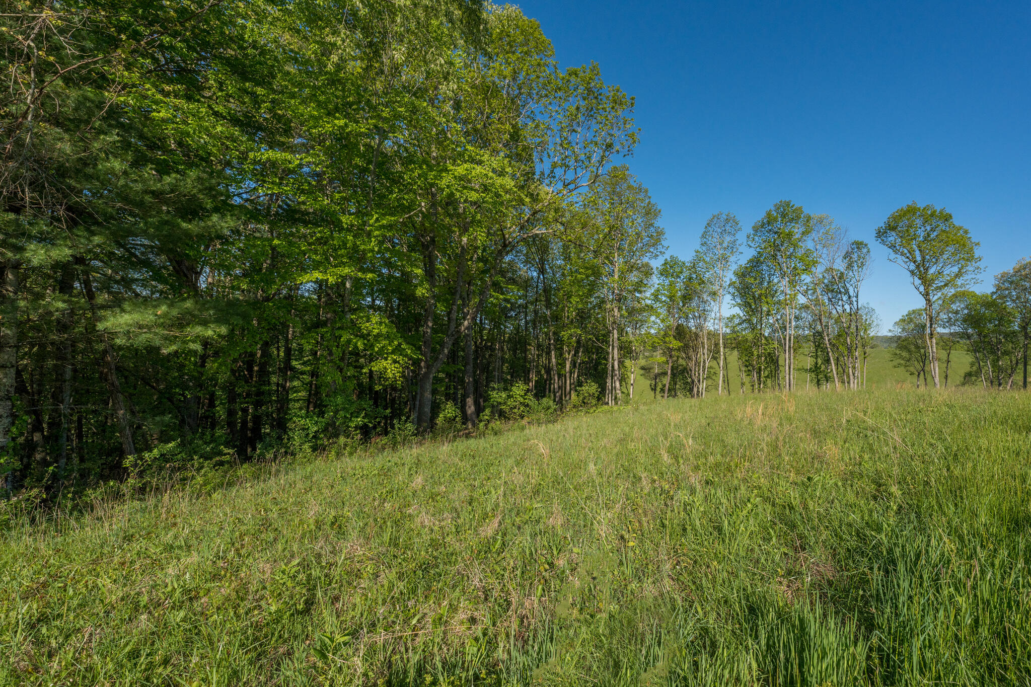 Lot 1 Of Dry Hill Road, Butler, Tennessee image 36