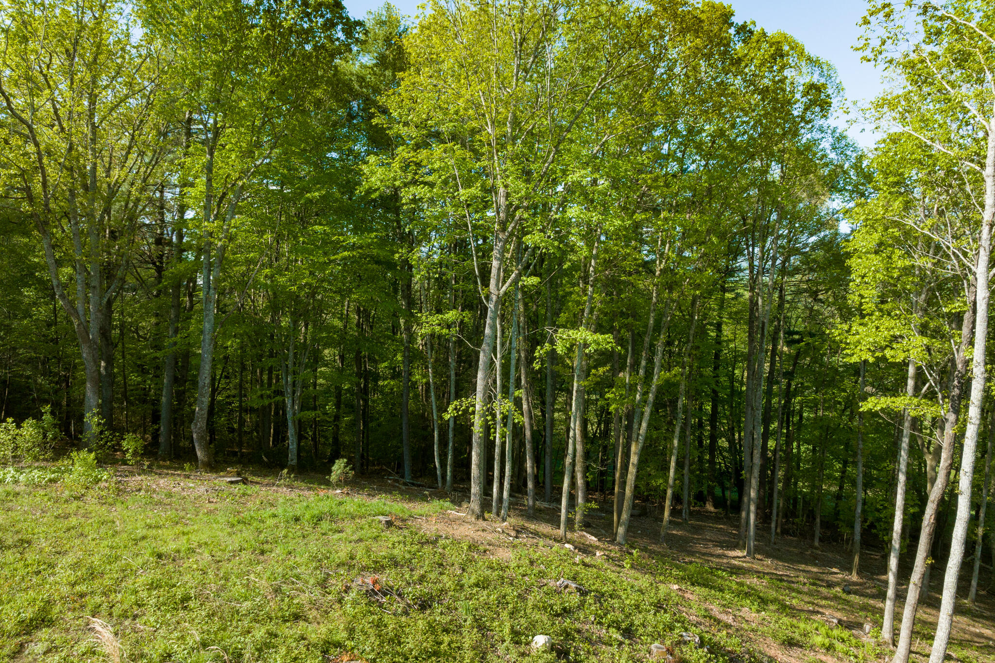 Lot 1 Of Dry Hill Road, Butler, Tennessee image 16