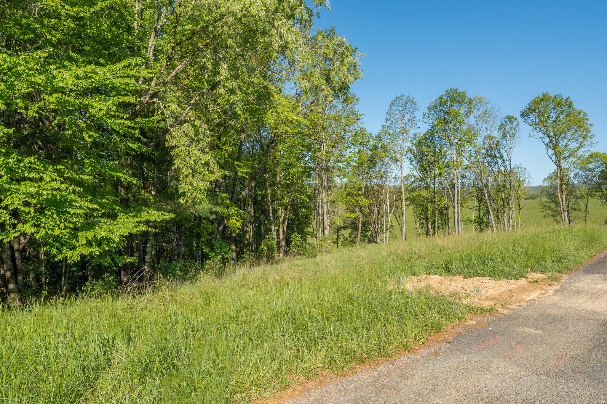 Lot 1 Of Dry Hill Road, Butler, Tennessee image 21