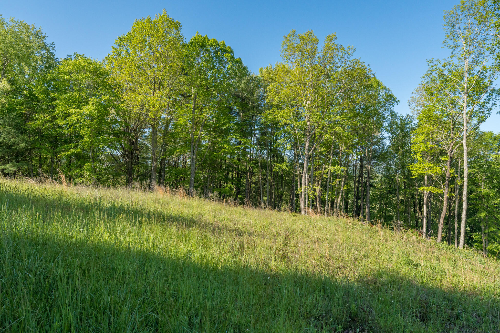 Lot 1 Of Dry Hill Road, Butler, Tennessee image 27