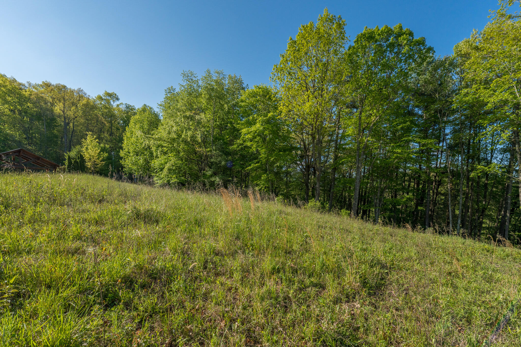 Lot 1 Of Dry Hill Road, Butler, Tennessee image 29