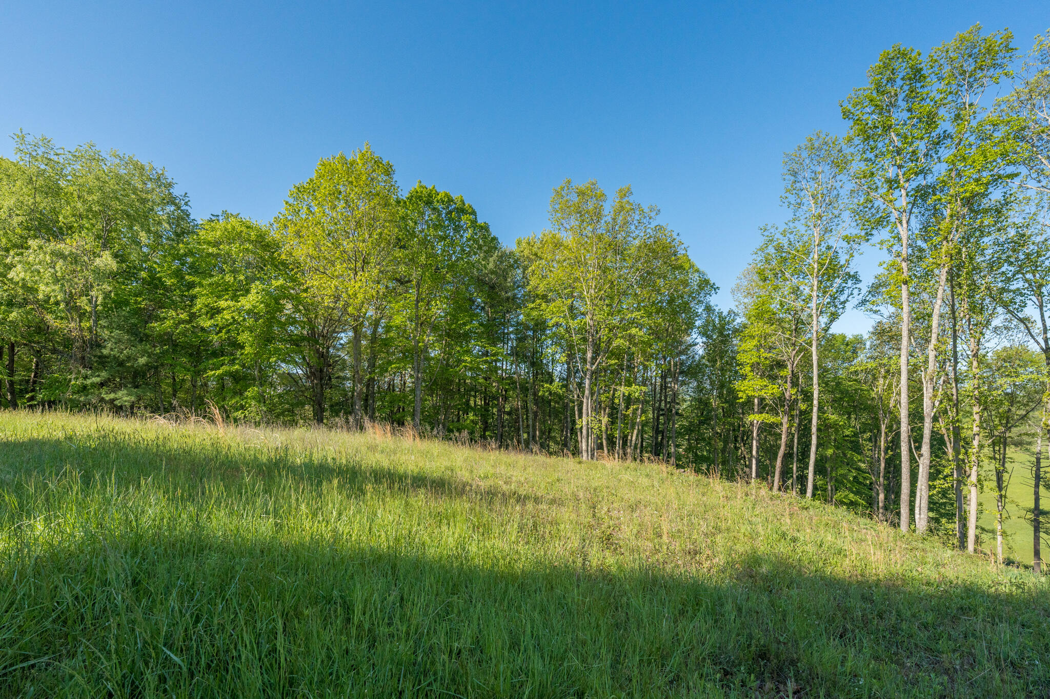 Lot 1 Of Dry Hill Road, Butler, Tennessee image 28