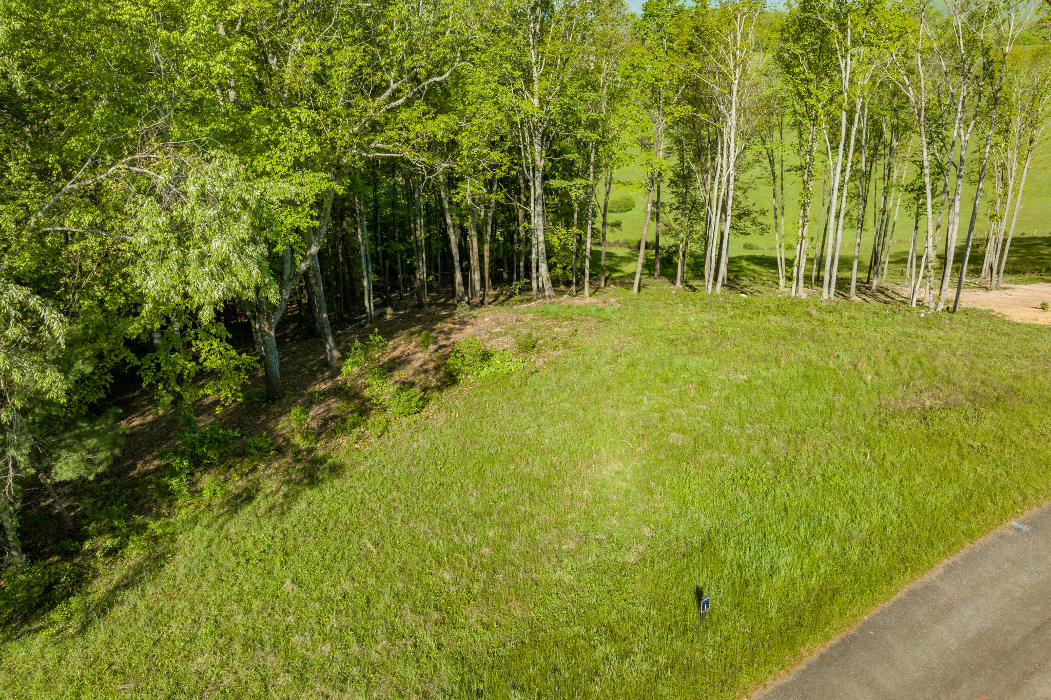 Lot 1 Of Dry Hill Road, Butler, Tennessee image 17