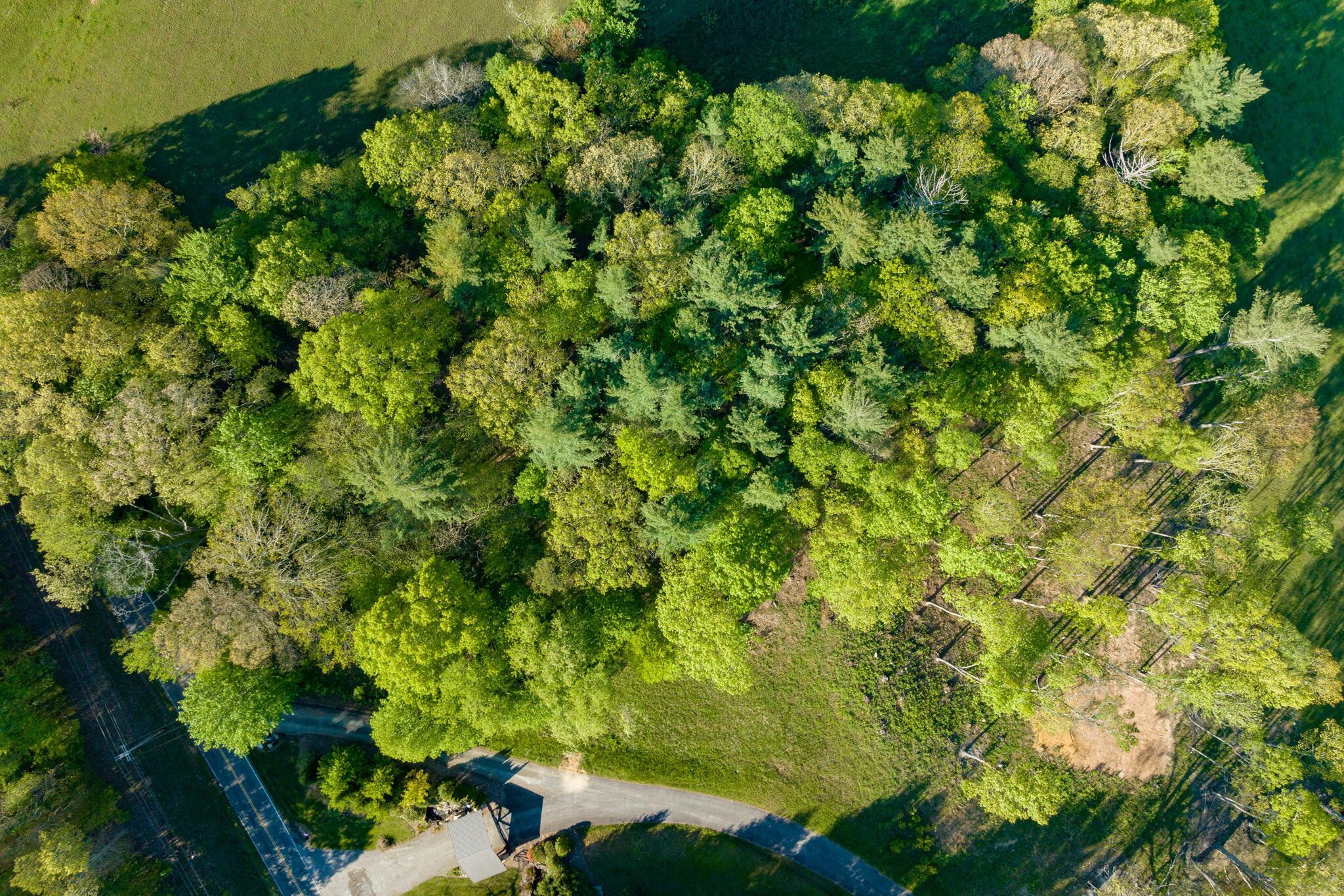 Lot 1 Of Dry Hill Road, Butler, Tennessee image 6