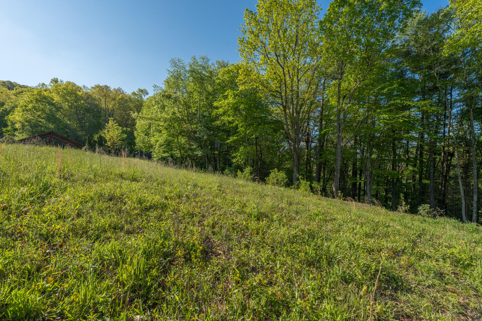 Lot 1 Of Dry Hill Road, Butler, Tennessee image 30
