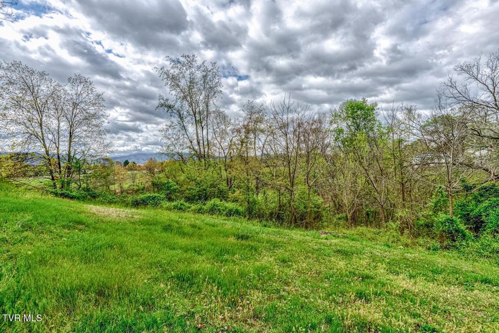 Photo of Tbd Cole Lane, Church Hill, TN 37642 (MLS # 9993503)