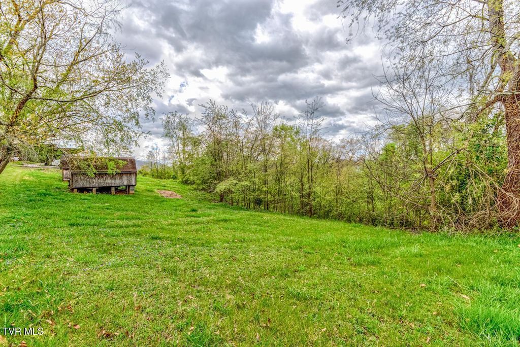 Photo of Tbd Cole Lane, Church Hill, TN 37642 (MLS # 9993503)