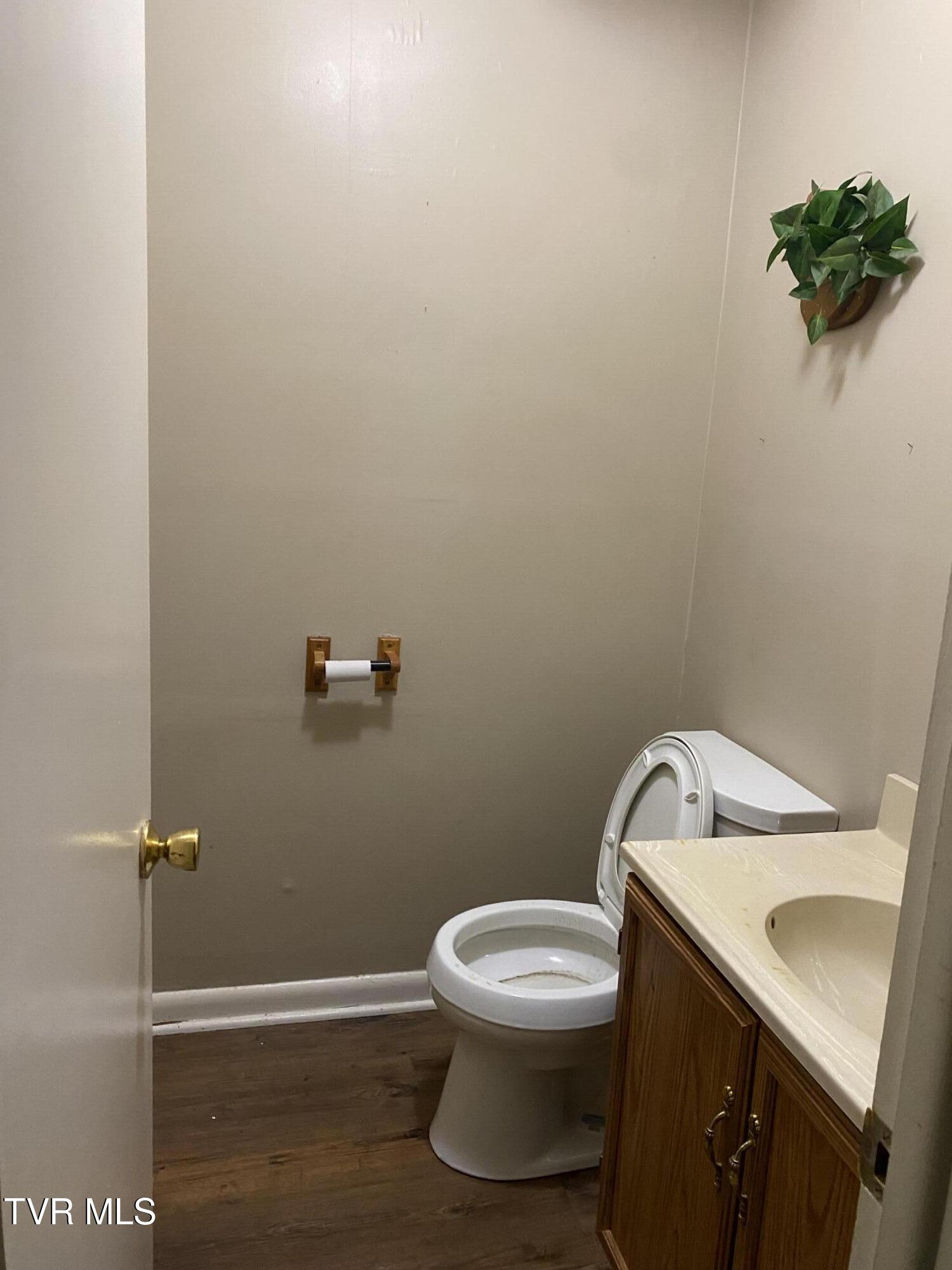 302 Hermitage Drive, Greeneville, Tennessee image 23