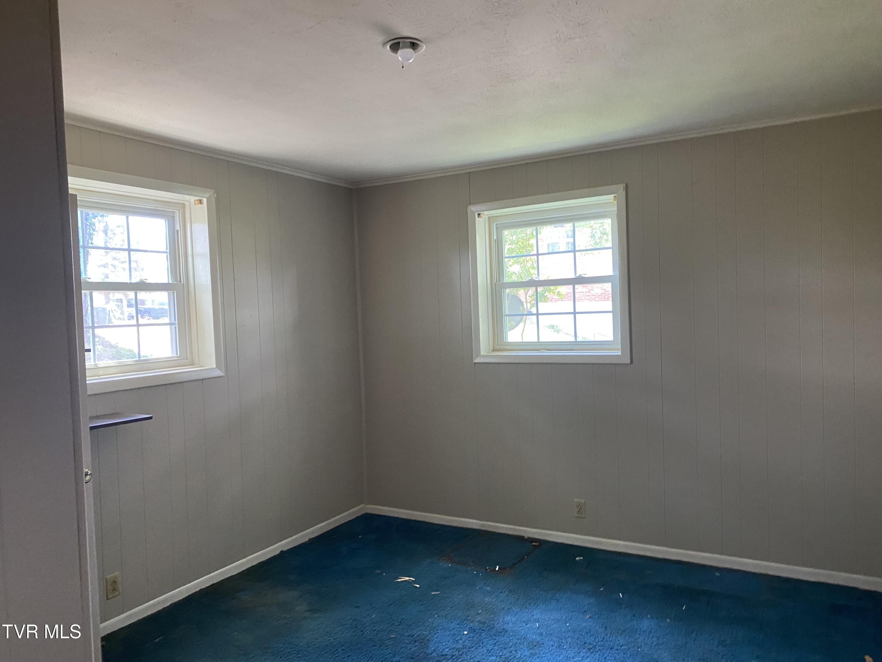 302 Hermitage Drive, Greeneville, Tennessee image 19