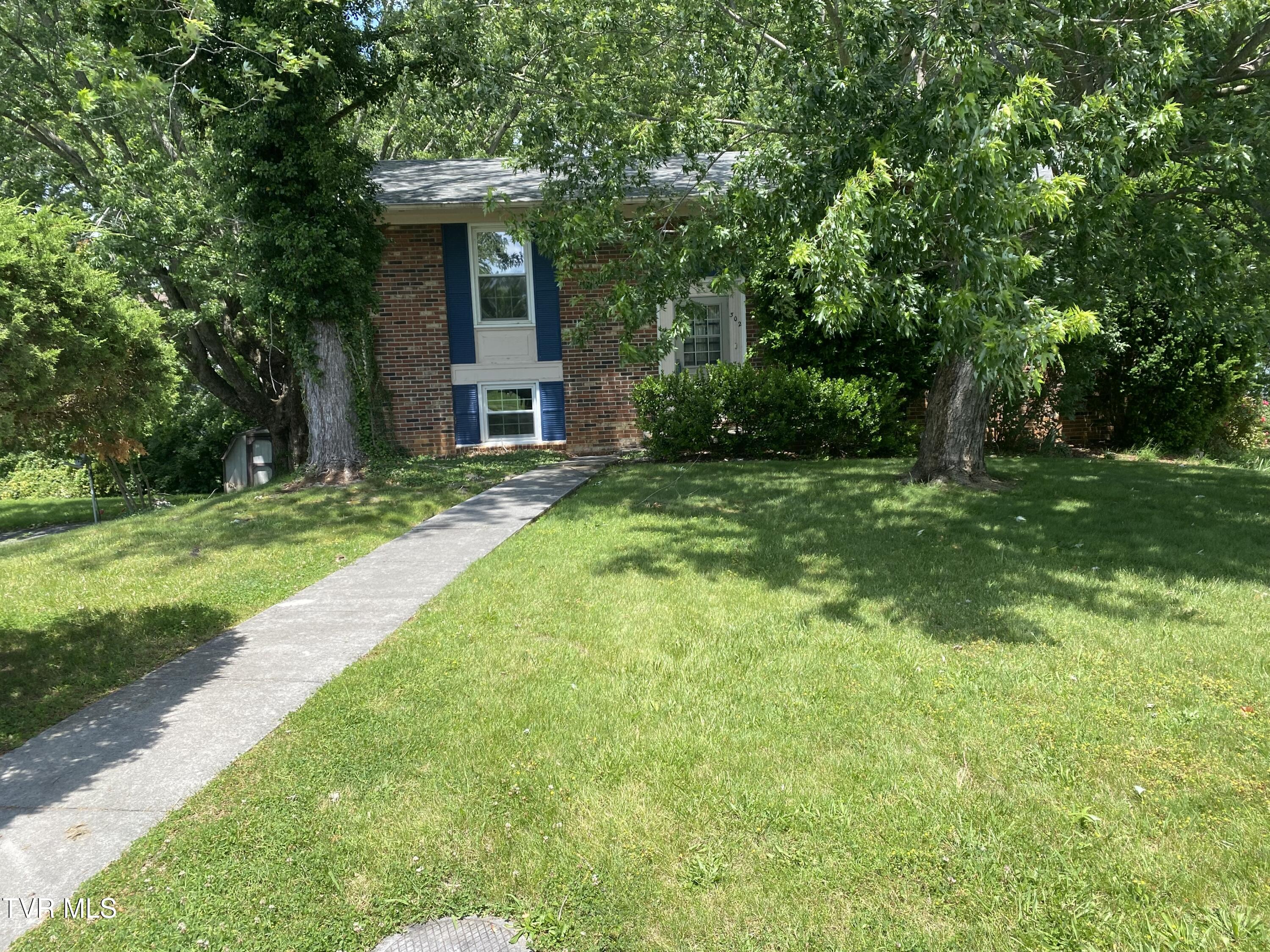 302 Hermitage Drive, Greeneville, Tennessee image 3