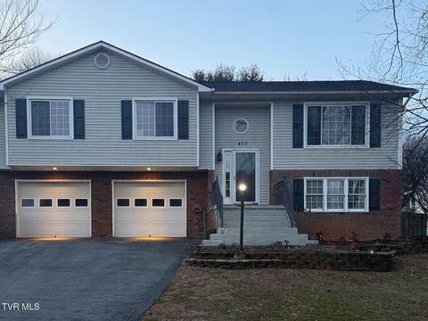 Photo of 403 Millwood Drive, Johnson City, TN 37615 (MLS # 9989533)