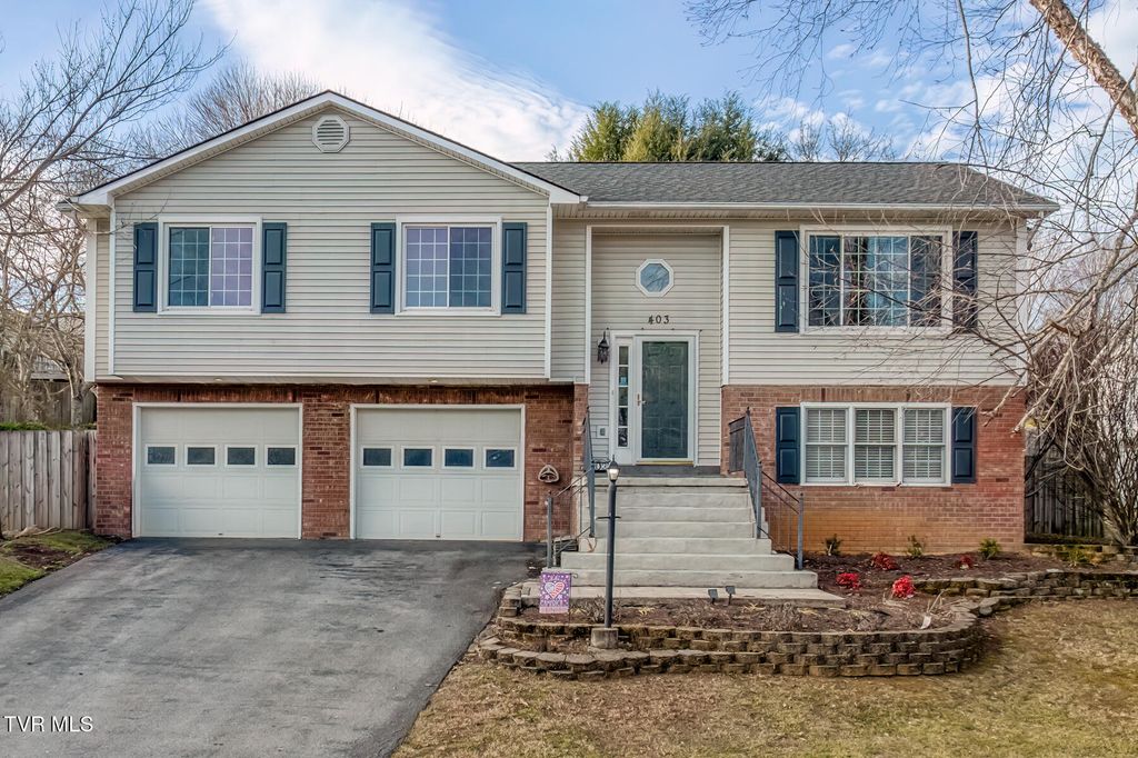 Photo of 403 Millwood Drive, Johnson City, TN 37615 (MLS # 9989533)