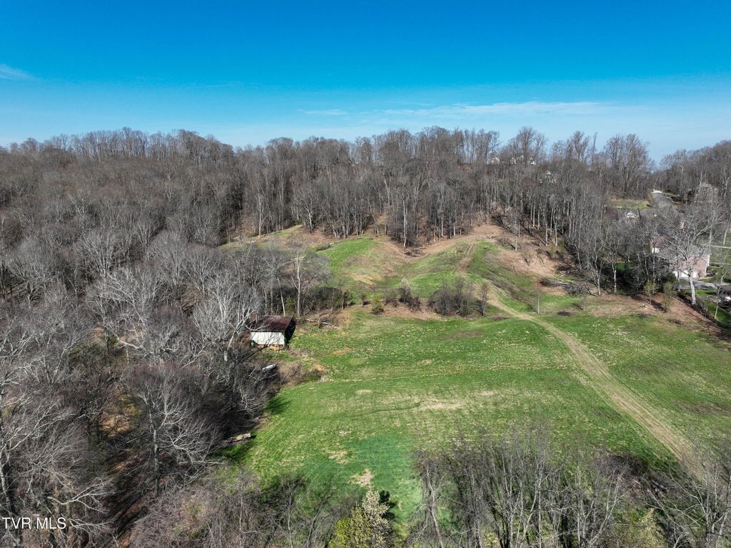 Photo of 9 Strawberry Fields Dr. Road, Johnson City, TN 37604 (MLS # 9993918)