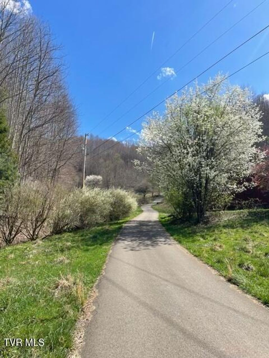 Photo of 349 Miller Road, Trade, TN 37691 (MLS # 9989608)