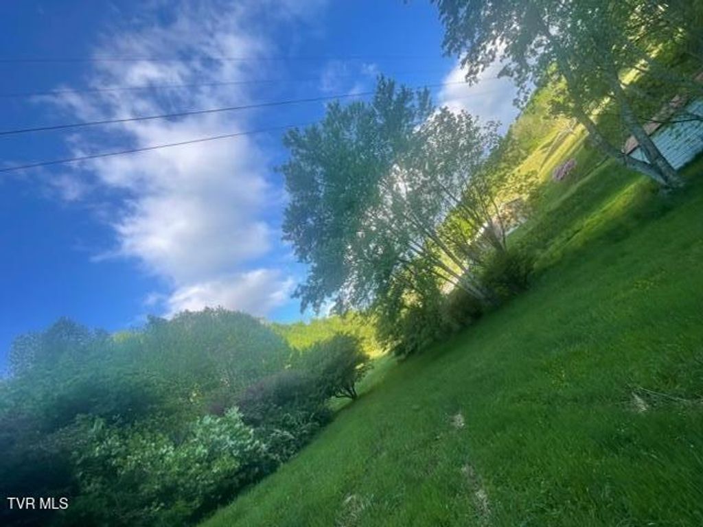 Photo of 349 Miller Road, Trade, TN 37691 (MLS # 9989608)