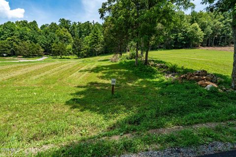 Vacant Land For Sale - LOT #18 Vineyard Valley Drive<br/> Johnson County, Butler, TN 37640