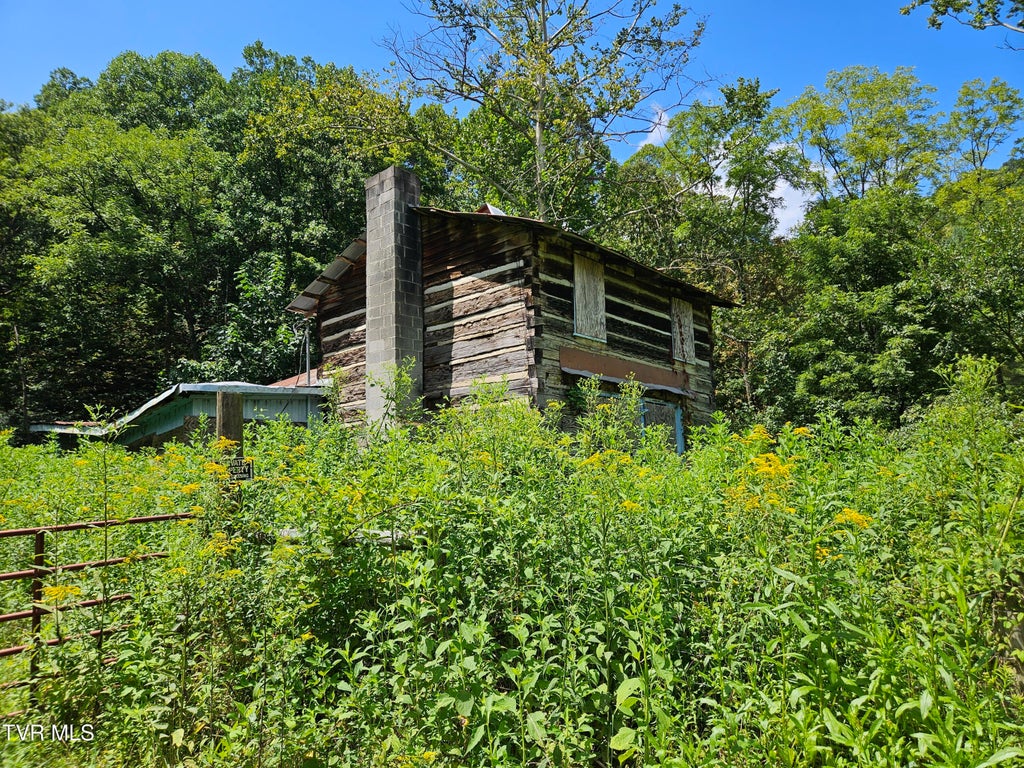Photo of 5742 Coeburn Road, Coeburn, VA 24230 (MLS # 9999689)