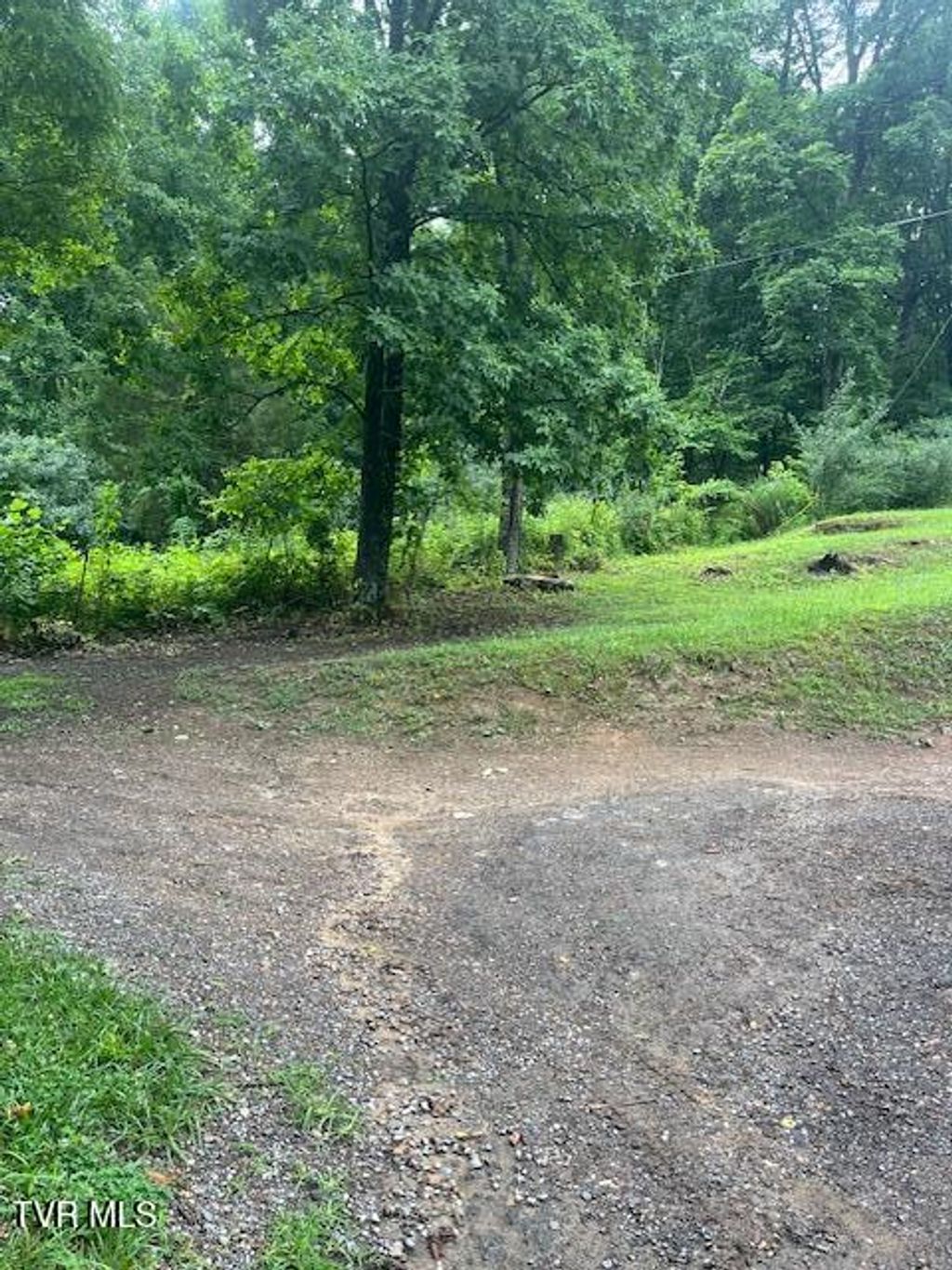 Photo of 0 Beartown Road, Kingsport, TN 37660 (MLS # 9997238)