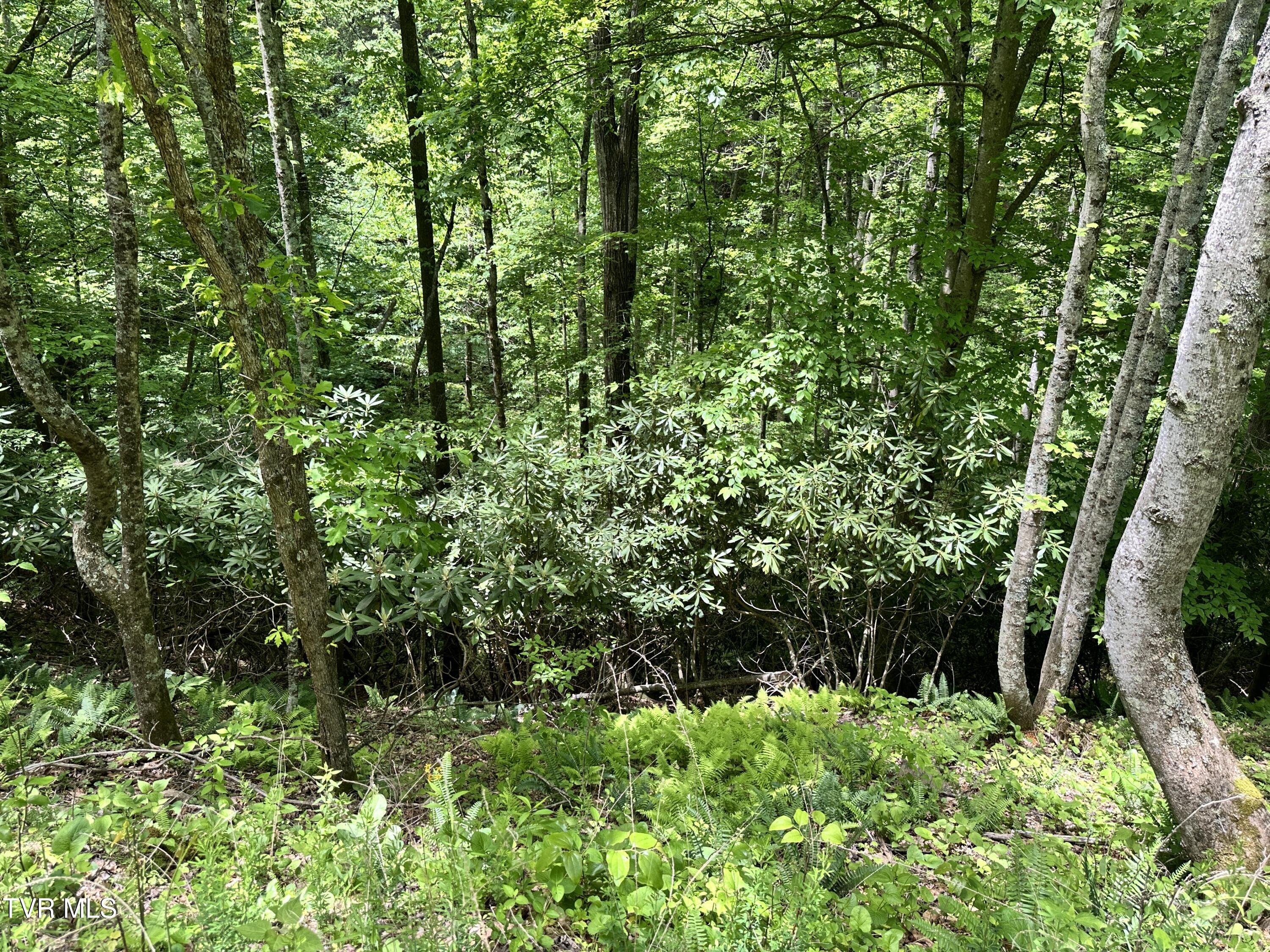 Tbd Buffalo Hollow Road, Castlewood, Virginia image 27