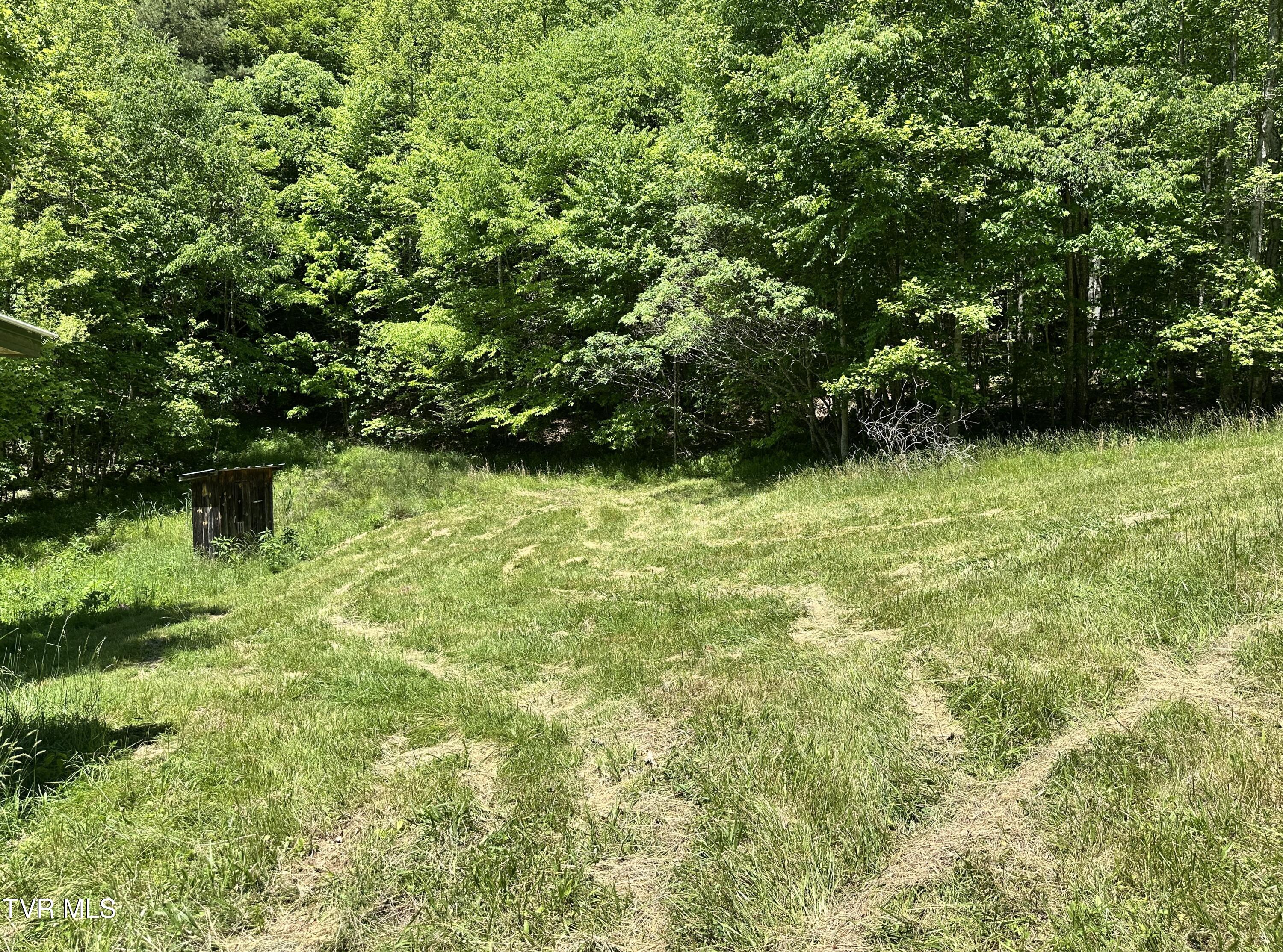 Tbd Buffalo Hollow Road, Castlewood, Virginia image 19