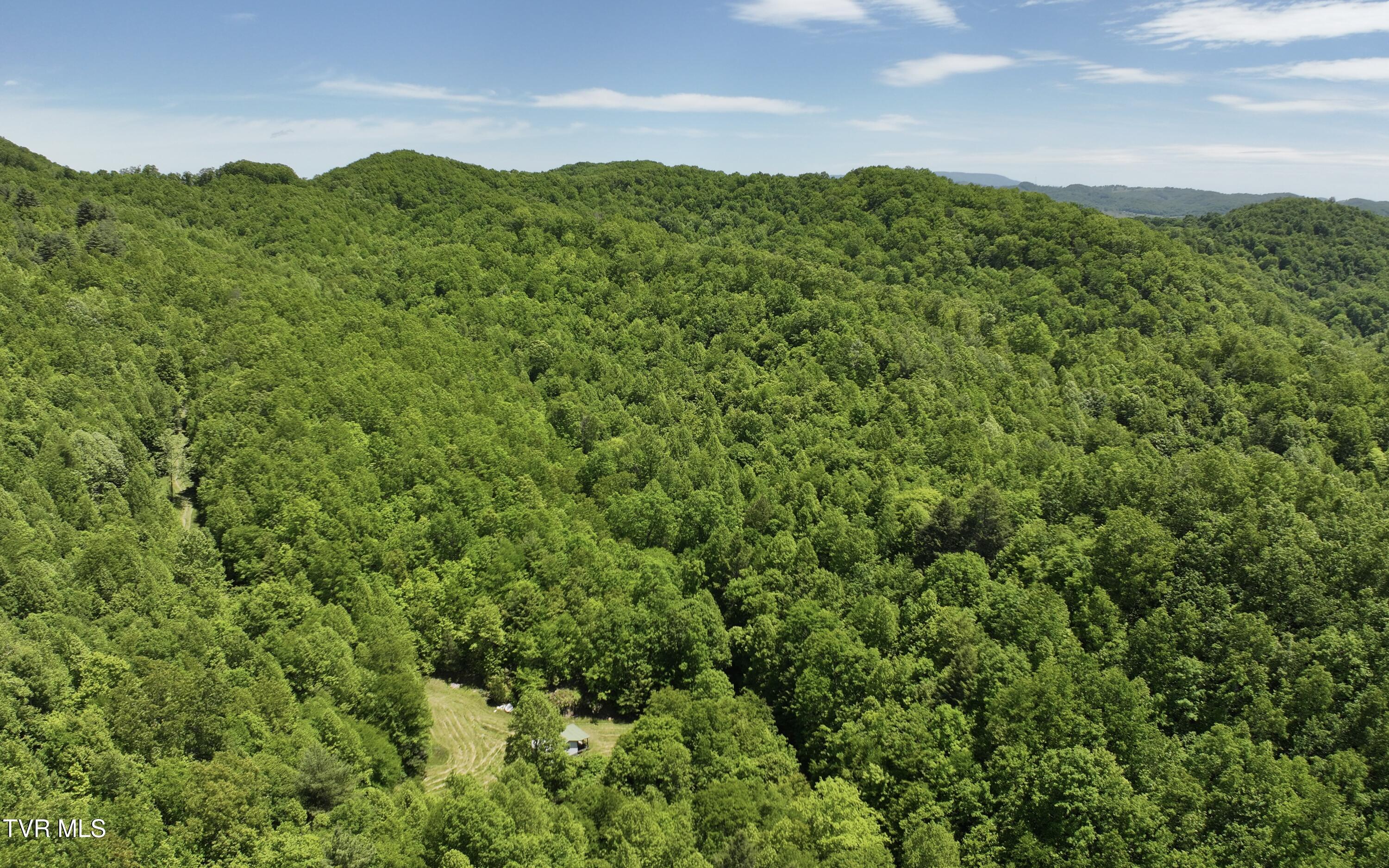 Tbd Buffalo Hollow Road, Castlewood, Virginia image 13