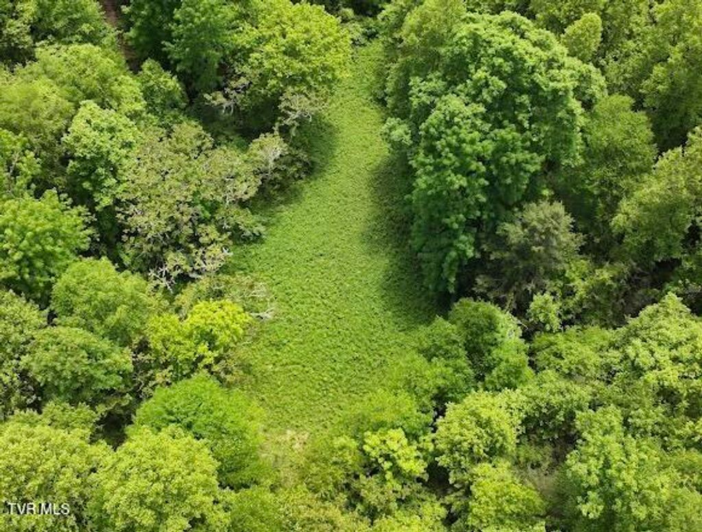 Photo of Tbd Buffalo Hollow Road, Castlewood, VA 24224 (MLS # 9980421)