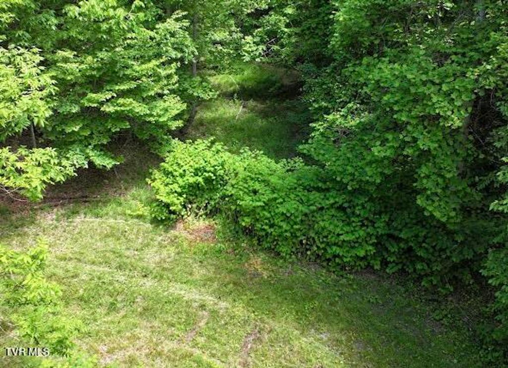 Photo of Tbd Buffalo Hollow Road, Castlewood, VA 24224 (MLS # 9980421)