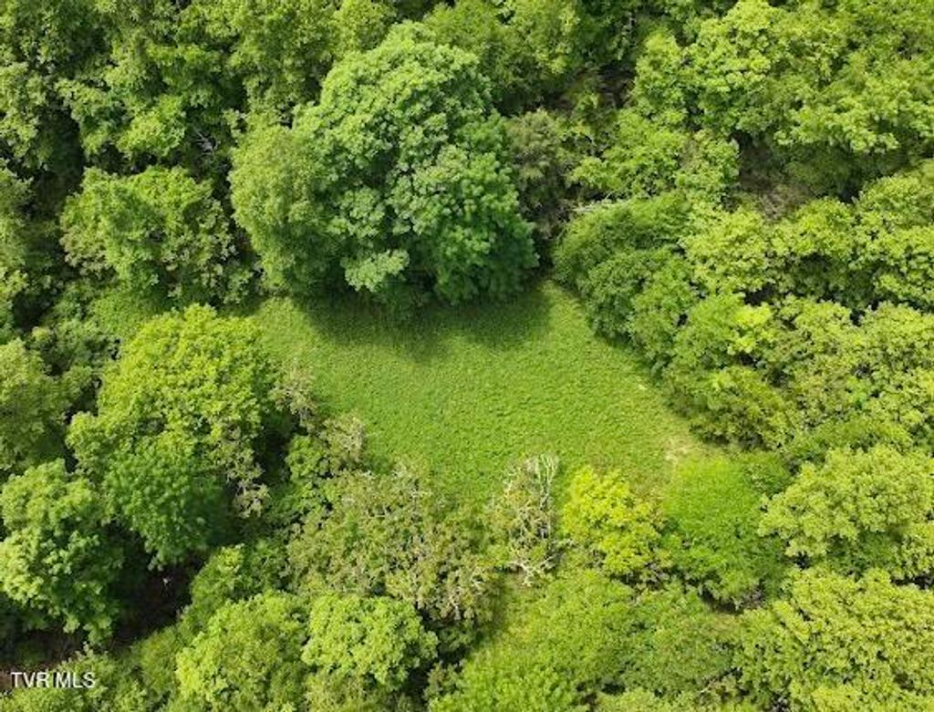 Photo of Tbd Buffalo Hollow Road, Castlewood, VA 24224 (MLS # 9980421)