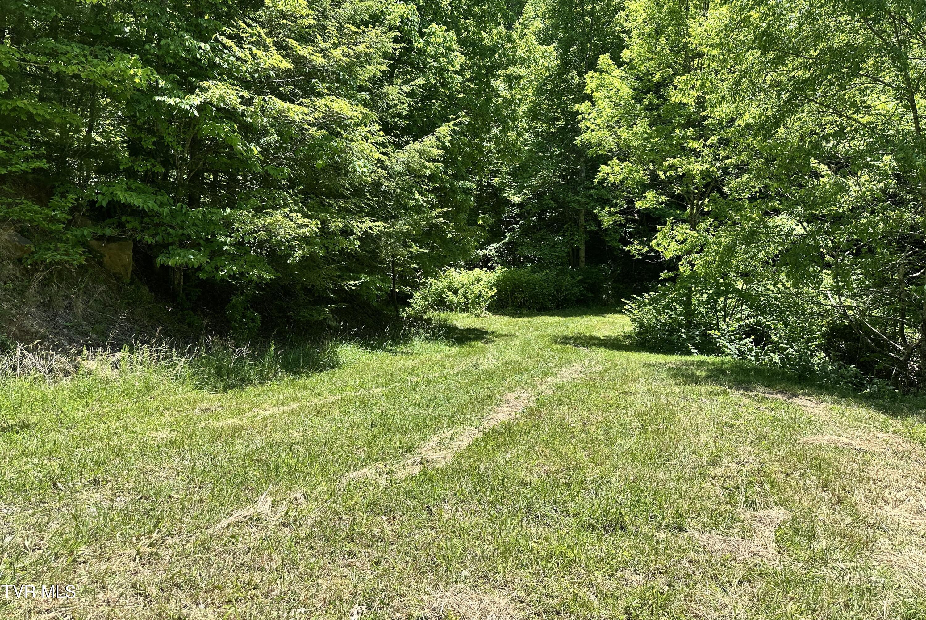 Tbd Buffalo Hollow Road, Castlewood, Virginia image 18
