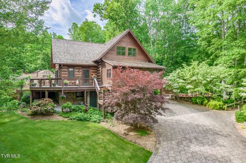 128 Bankers Bend Mountain City TN 37683