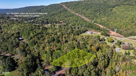 Vacant Land For Sale - LOT 2 Old Post Road<br/> Evensville, TN 37332