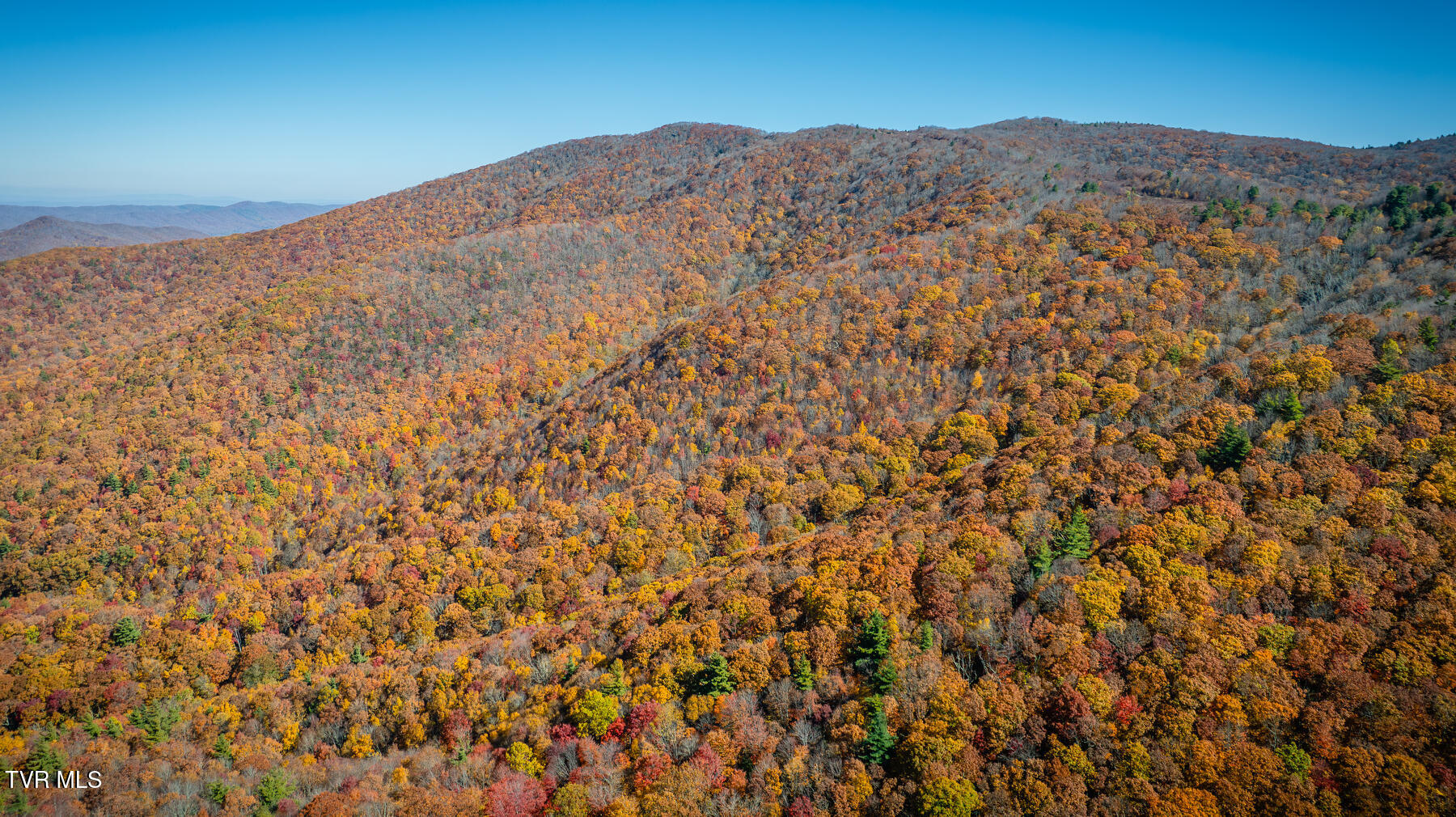 Tbd Of Bishop Road, Laurel Bloomery, Tennessee image 12