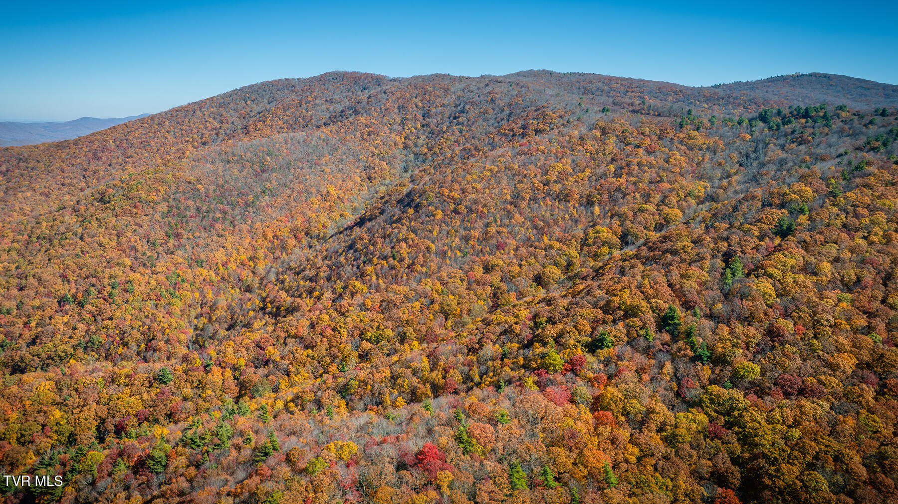 Tbd Of Bishop Road, Laurel Bloomery, Tennessee image 11