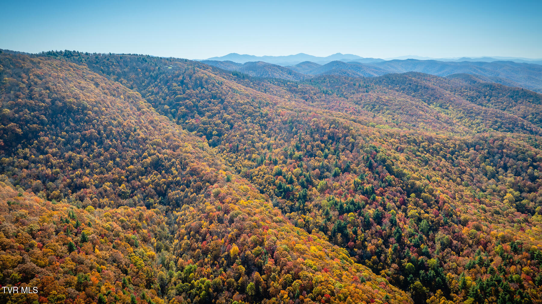 Tbd Of Bishop Road, Laurel Bloomery, Tennessee image 6