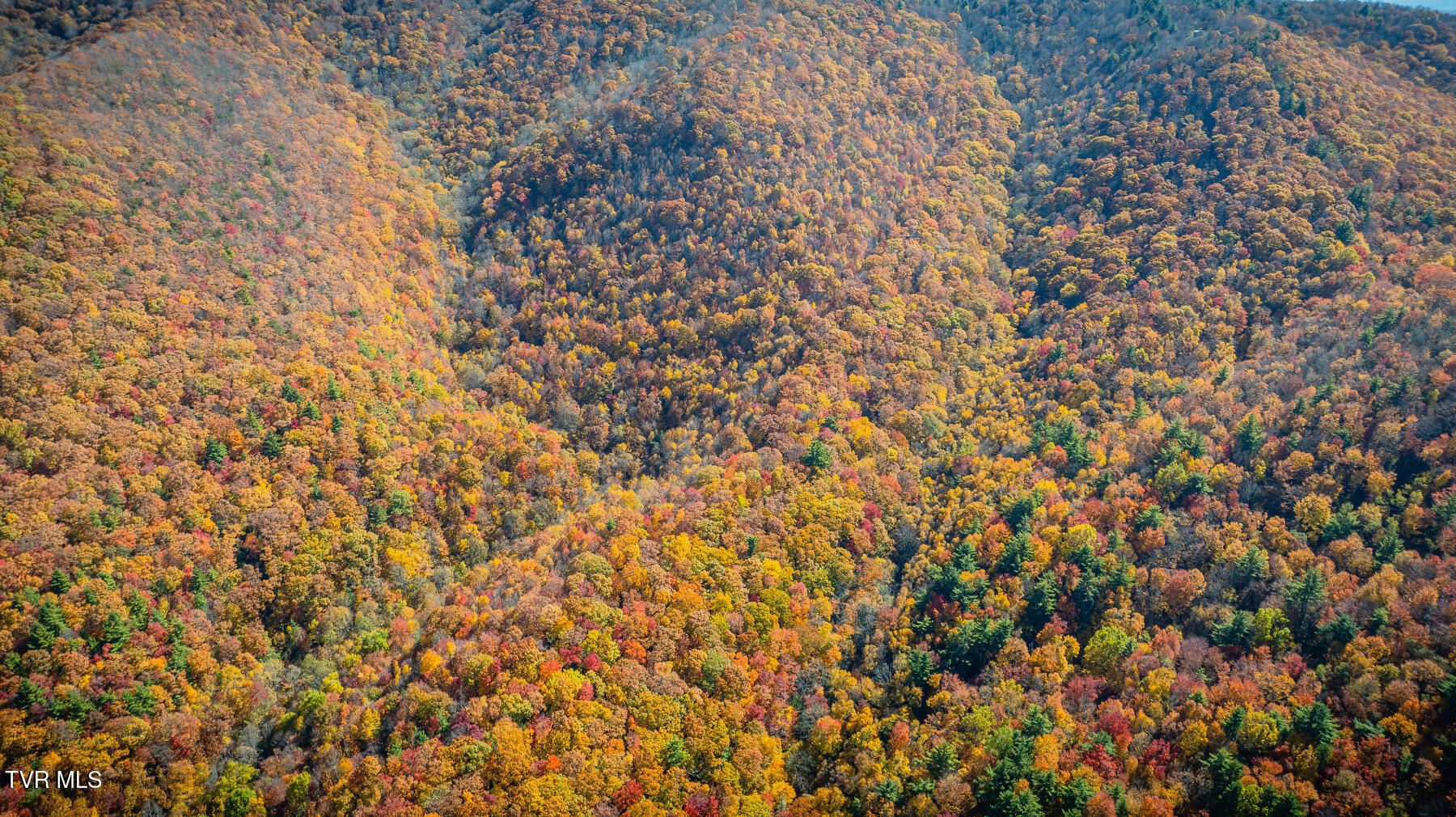 Tbd Of Bishop Road, Laurel Bloomery, Tennessee image 14