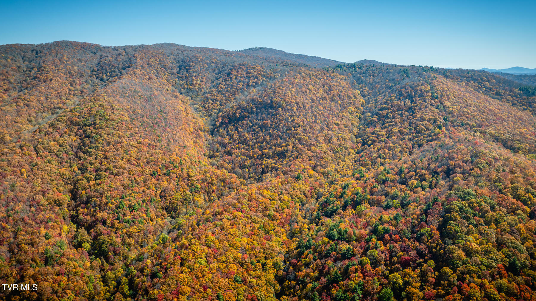 Tbd Of Bishop Road, Laurel Bloomery, Tennessee image 1
