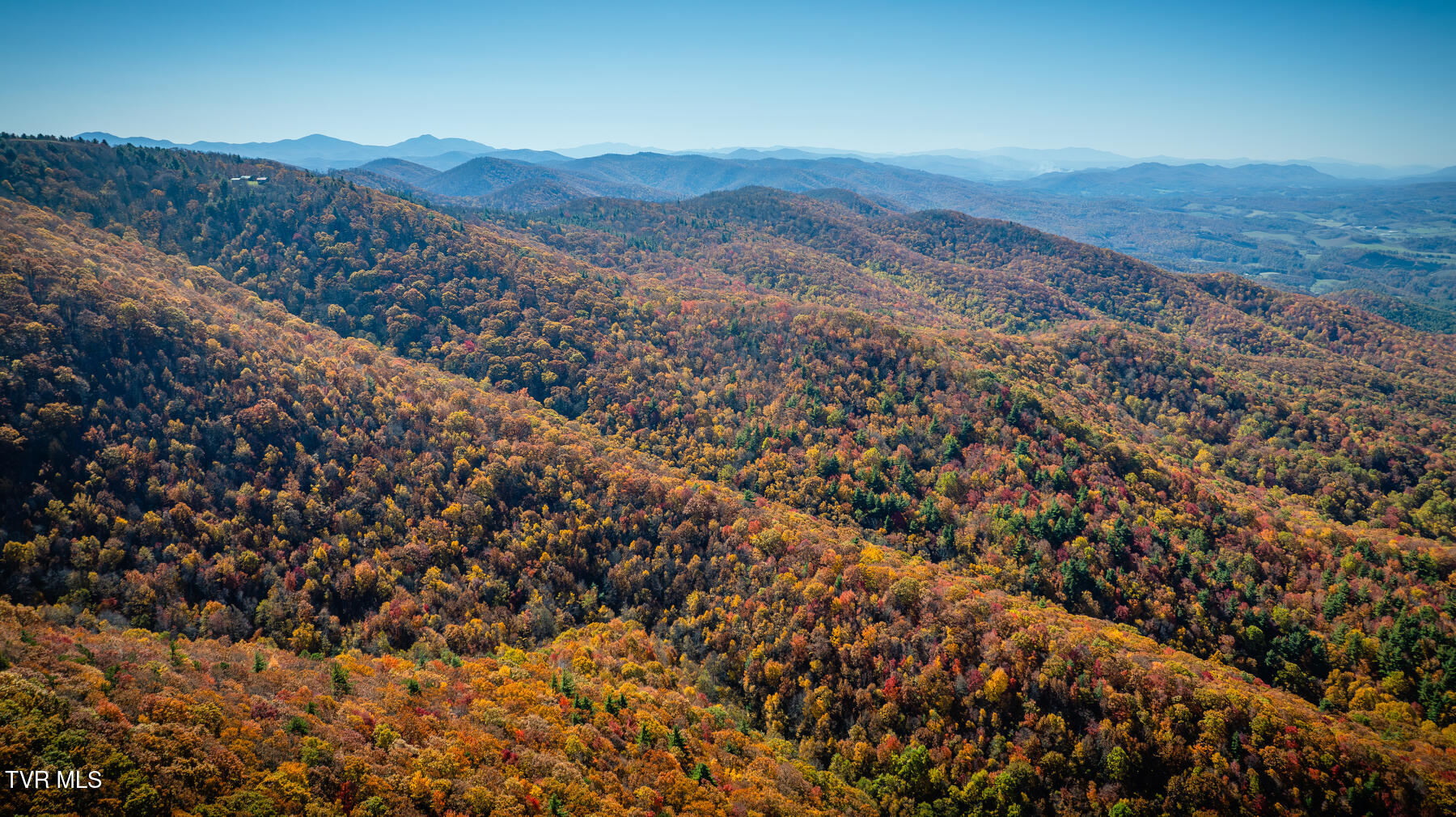 Tbd Of Bishop Road, Laurel Bloomery, Tennessee image 4