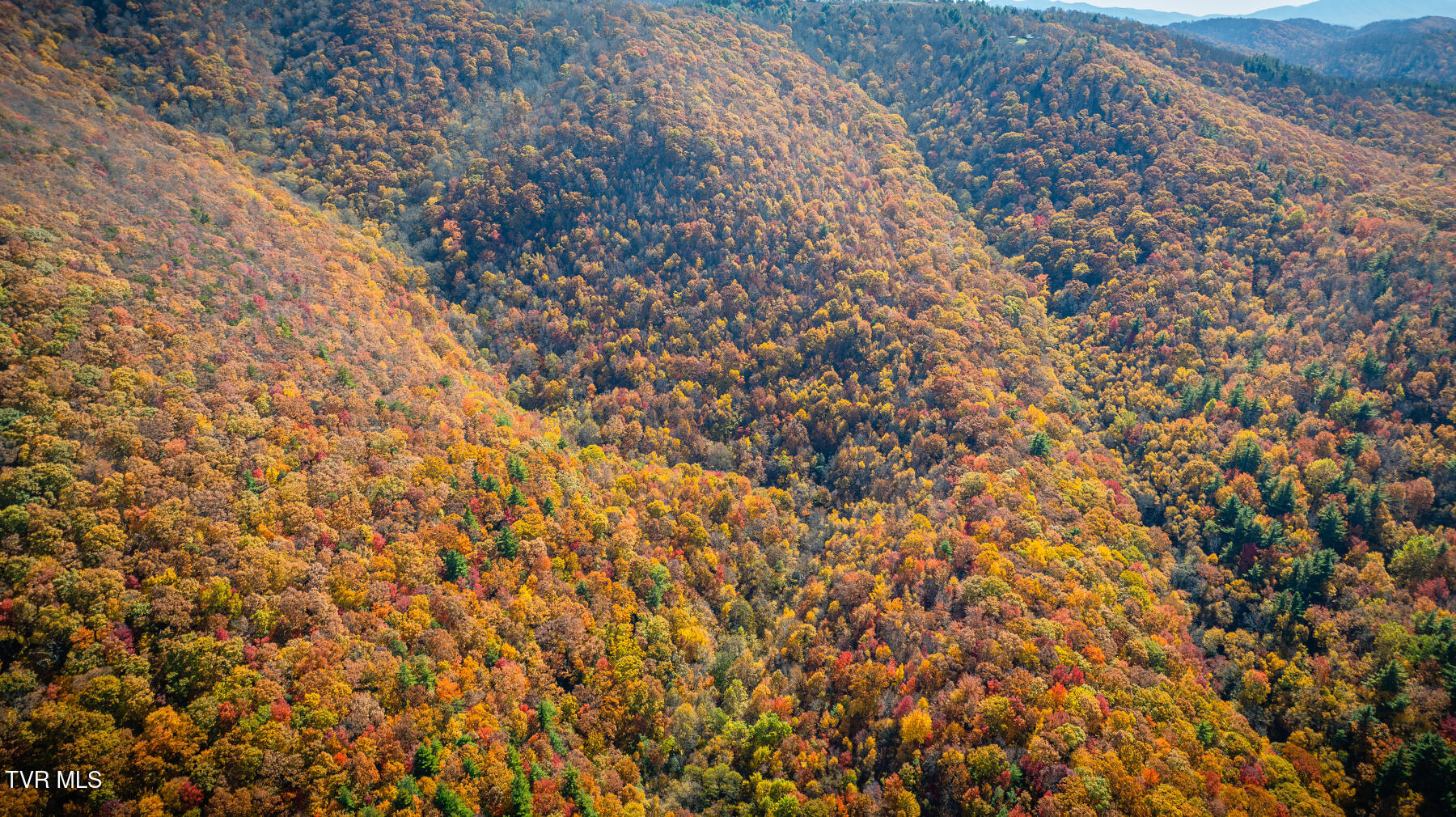 Tbd Of Bishop Road, Laurel Bloomery, Tennessee image 13